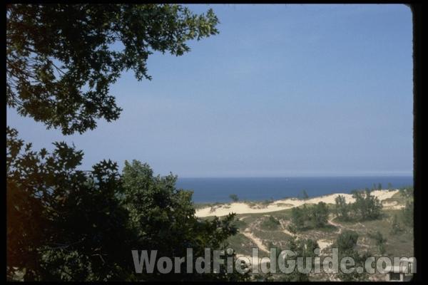 <br>(Location of Picture: Indiana, USA)<br>(Location of Picture: Indiana, USA)