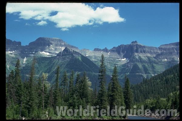 <br>(Location of Picture: Mt. Rainier)<br>(Location of Picture: Mt. Rainier)