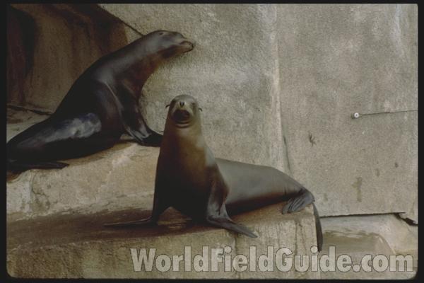 <br>(Location of Picture: Zoo)<br>(Location of Picture: Zoo)