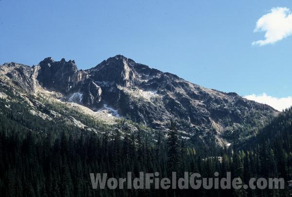 Looking West<br>(Location of Picture: Cascade Mountains, Washington, USA)<br>(Location of Picture: Kangaroo Ridge, Cascades, Wa, USA)