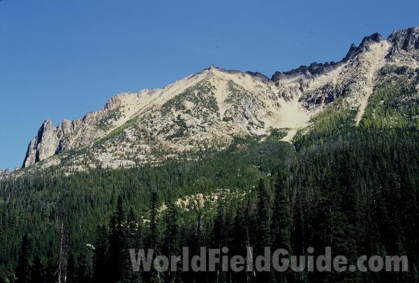 Looking West<br>(Location of Picture: Cascade Mountains, Washington, USA)<br>(Location of Picture: Kangaroo Ridge, Cascades, Wa, USA)<br>(Location of Picture: Kangaroo Ridge, Cascades, Wa, USA)<br>(Location of Picture: Kangaroo Ridge, Cascades, Wa, USA)
